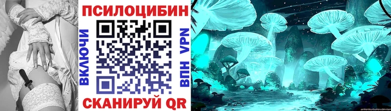 Псилоцибиновые грибы GOLDEN TEACHER  Новоульяновск 