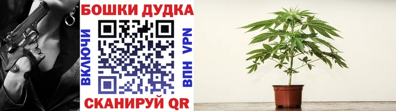 Конопля индика  Новоульяновск 